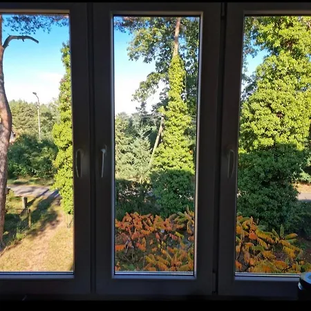 W Lesie In The Forest * Rudzica