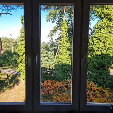 W Lesie In The Forest Apartment Rudzica