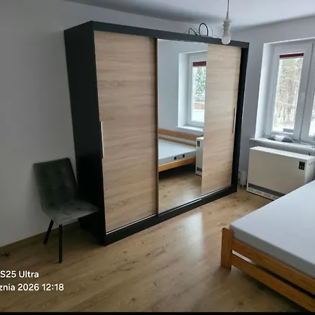 W Lesie In The Forest *