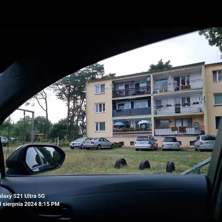 W Lesie In The Forest