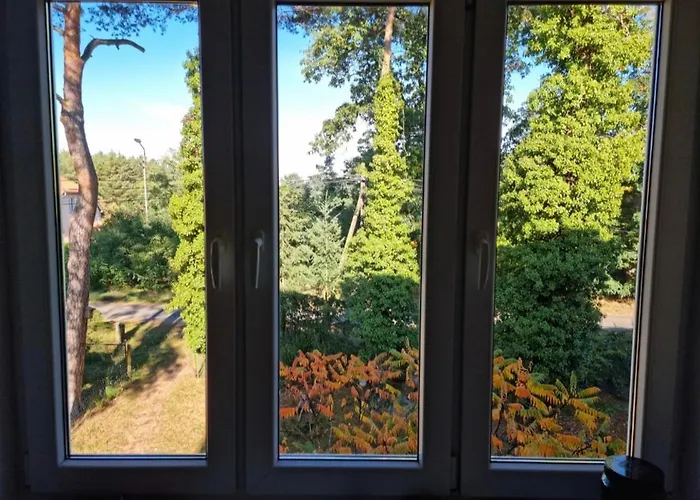 W Lesie In The Forest * Rudzica