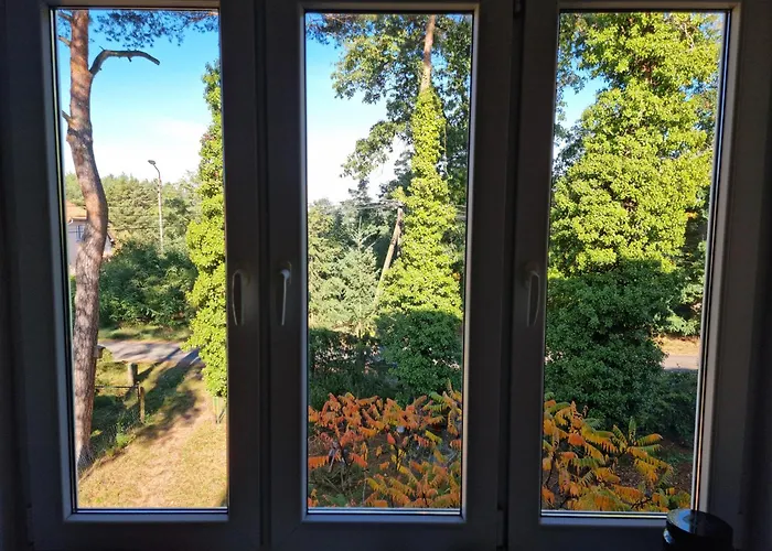 W Lesie In The Forest Apartment Rudzica