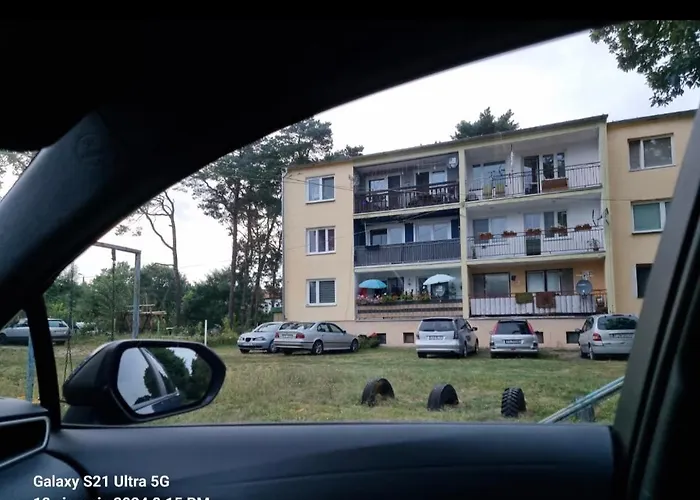 W Lesie In The Forest